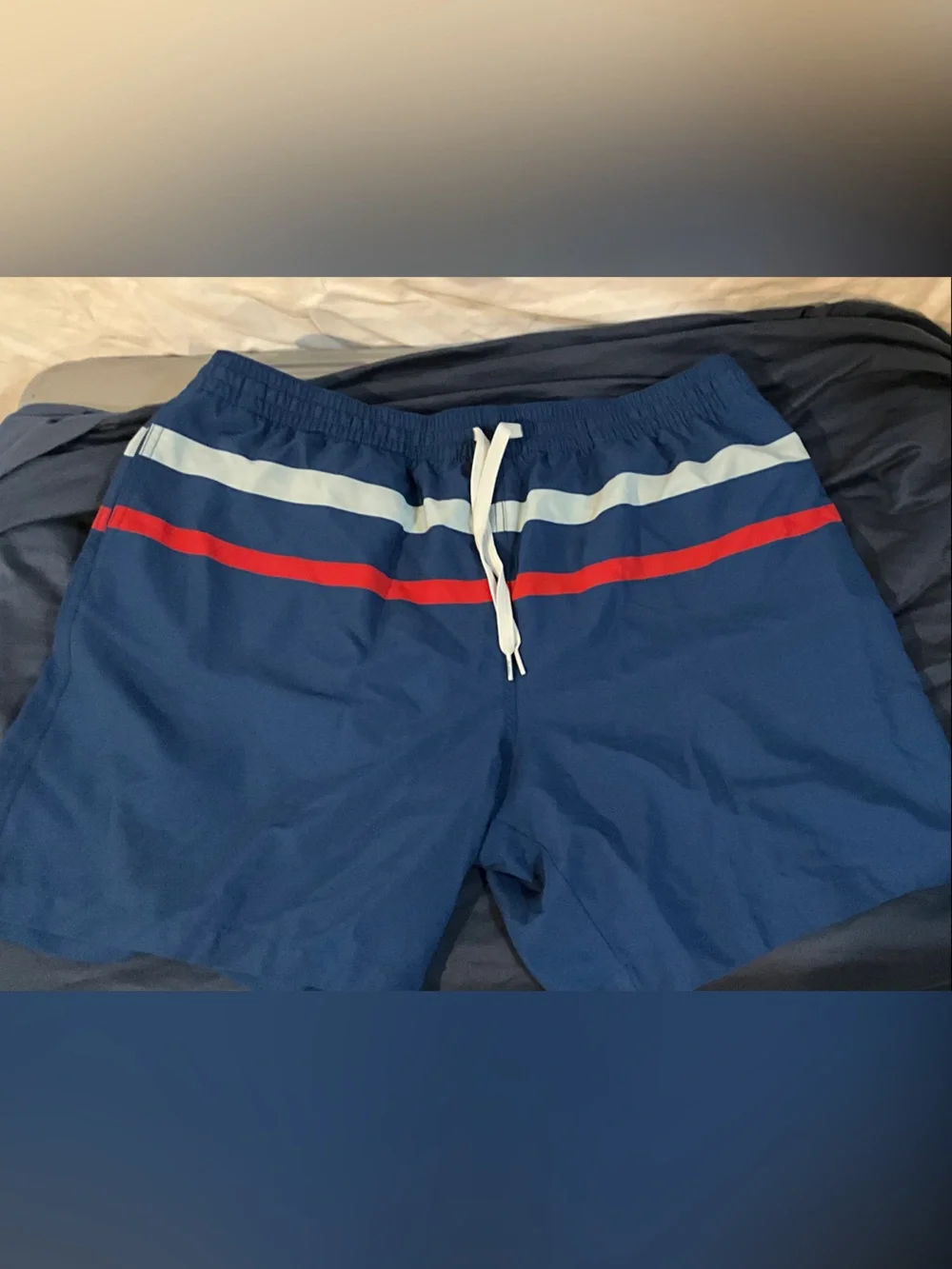 chubbies Navy Swim Trunks with Red & Light Blue Stripes